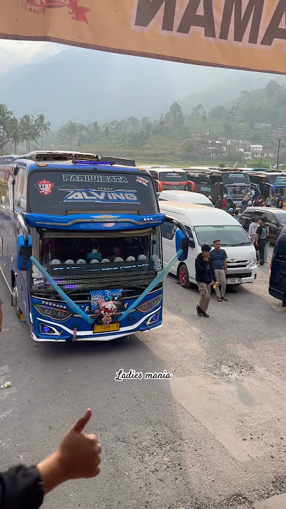 kalo aku ngilang, cari aku dikerumunan para bocil yg hunting bus.. (bus “ALVINO”) #telolet #basuri