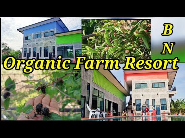 BN ORGANIC FARM RESORT || Thailand class=
