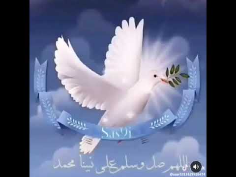 حمامة السلام