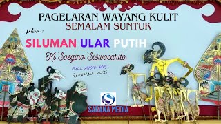 Download Lagu Lakon Seruuuu FULL !!! SILUMAN ULAR PUTIH_Ki Soegino Siswocarito #SEMALAM_SUNTUK MP3