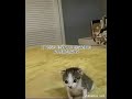 rp