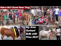 Bakra Eid Vlog 2021 | Bakra Eid Ki Chand Raat Ky Mazey In Lahore 2021 |Cow | Cattle Of Pakistan 2021