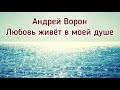 Андрей Ворон. Любовь живёт в моей душе.