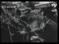 The queen mother visits flower show 1950