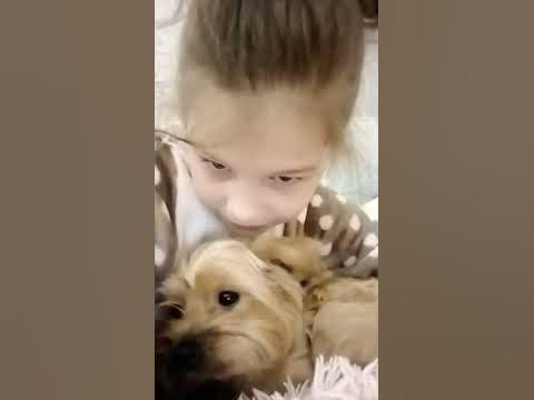 листай - YouTube