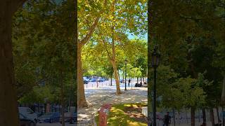 Avenida da Liberdade in Lisbon PORTUGAL #lisboa #portugal #lisbon #shorts