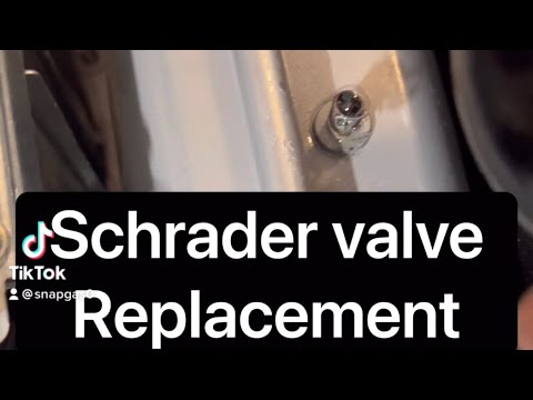 Extraire et remplacer l'obus d'une valve Schrader sur un pneu Tubeless de  voiture 