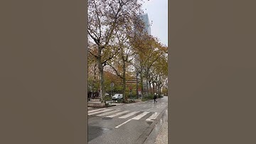 #egzonibrahimi #سورة_الإخلاص #ikhlas #goodmorning #love #lifeisbutadream #flowers #outdoors