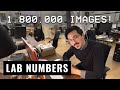 A year in numbers  film lab tour