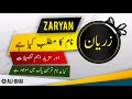 معنی نام زریان به اردو اسم پسرانه اسلامی علی بای