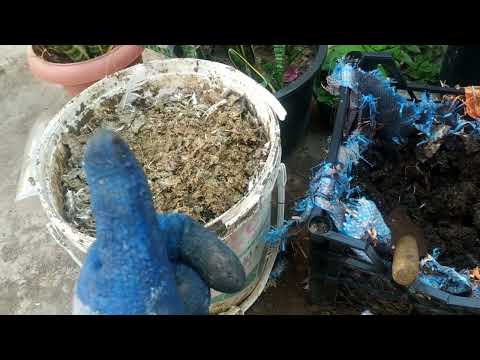 طريقة تحلل السماد العضوى زلق الحمام والمواشى ومخلفات الطيور