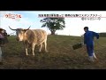 関パニ 関ジャニクロニクル #10