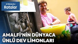 Amalfi'nin Dünyaca Ünlü Devasa Limonları | Ayrıcalıklı Rotalar