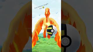 WILD SHINY MOLTRES #pokemongo #shinypokemon