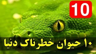 ١٠تا از کشنده ترین و مرگبارترین حیوانات جهان