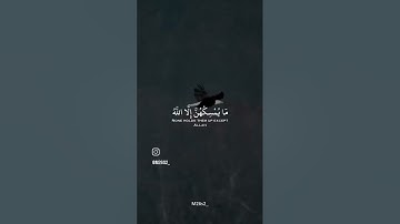 ياسر الدوسري سورة النحل