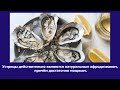 Интересные факты о продуктах питания. А вы знали об этом? Будь умным!