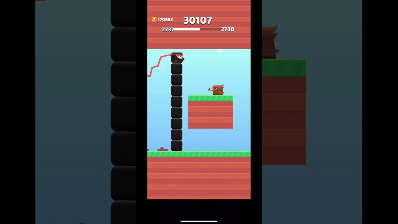 #16 сортировка квадратной птицы 