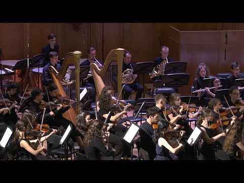 Франц Шуберт. Симфония № 4 («Трагическая») до минор, D 417. I. Adagio molto - Allegro vivace