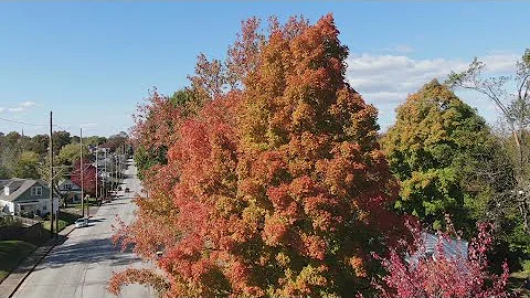 Drone video captures fall colors in Washington, Missouri