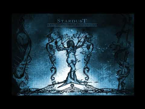 Stardust - Fragmente eines gebrochenen Lebens (Full-Length: 2018) Nahetal Klangschmiede