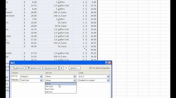 05- Excel 2007- Sorting, Grouping, and Filtering Cells