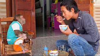 Finally Revealed! 🐵 BUEM’s Special Care for CUTIS’ Stomachache