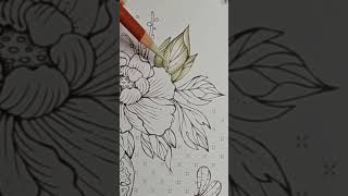 coloring leaves with derwent drawing pencils Net Worth