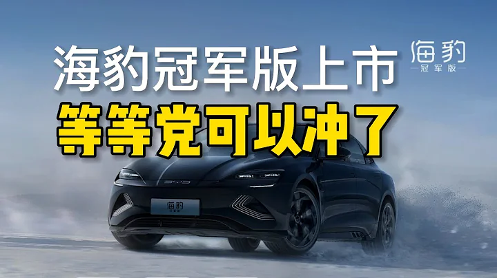 海豹冠军版上市了，等等党可以冲了！一个“小刺猬”的自述 - 天天要闻