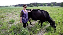 Lokomotywa