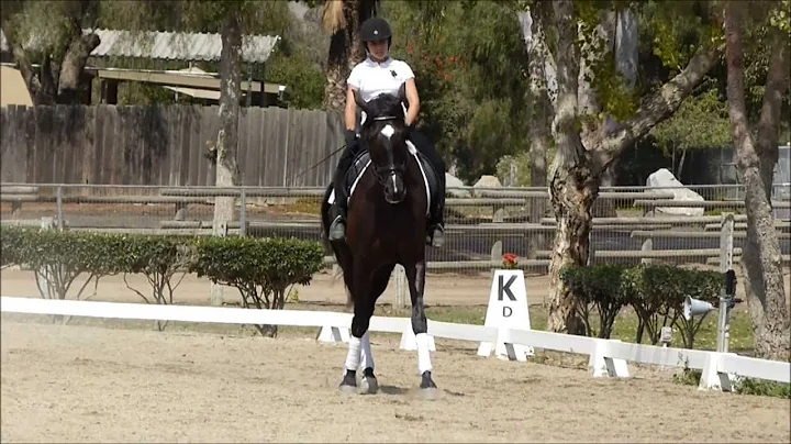 Dressage Clinic with Jane Weatherwax - August 3rd,...