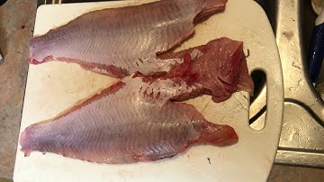 Catfish mud vein removal