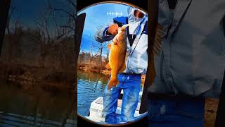 #fypシ゚viral #arkfishing #bassfish #freshwaterfish #smallmouthbass #6sense #shorts #bigbass #fypシ