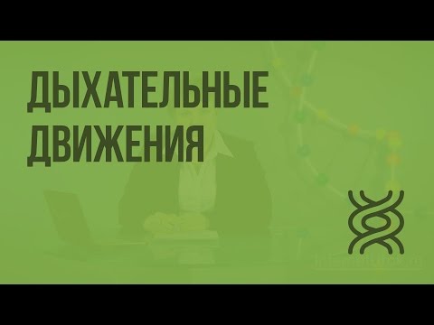 Дыхательные движения. Видеоурок по биологии 8 класс