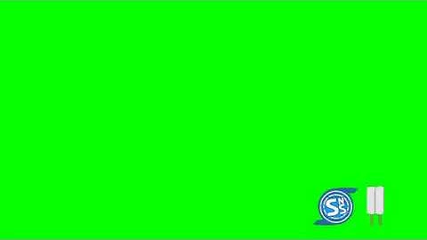 SwordSoft Network Summer Screenbug Template Green Screen