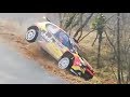 Crash rally montecarlo 2019  mistake guillaume de mevius  citroen c3 r5