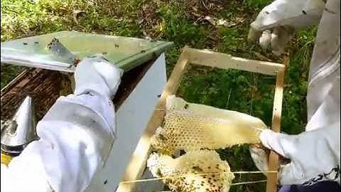 How to rubber-band a frame