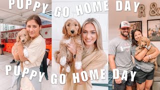 PUPPY GO HOME DAY | Who Did We Decide To Keep?!