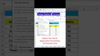 Format Painter In Excel #excel #shorts #trending #comedy #funny #short #exceltips #exceltutorial