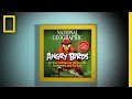 Angry Birds Behavior and Defense Mechanisms
