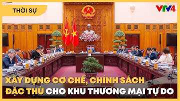 Xây dựng cơ chế, chính sách đặc thù cho khu thương mại tự do | VTV4