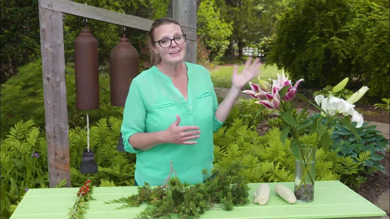 Simple Science Monoecious vs Dioecious Plants YouTube