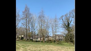 March 2020 - A Tour Of The Green Profile