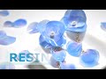 【レジン】簡単!?花びらたくさん!!八重のアジサイ目指してみました! Lots of petals with resin | accessory