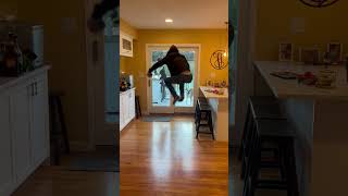 Precious Dog Jumping Same Time Owner Jumps