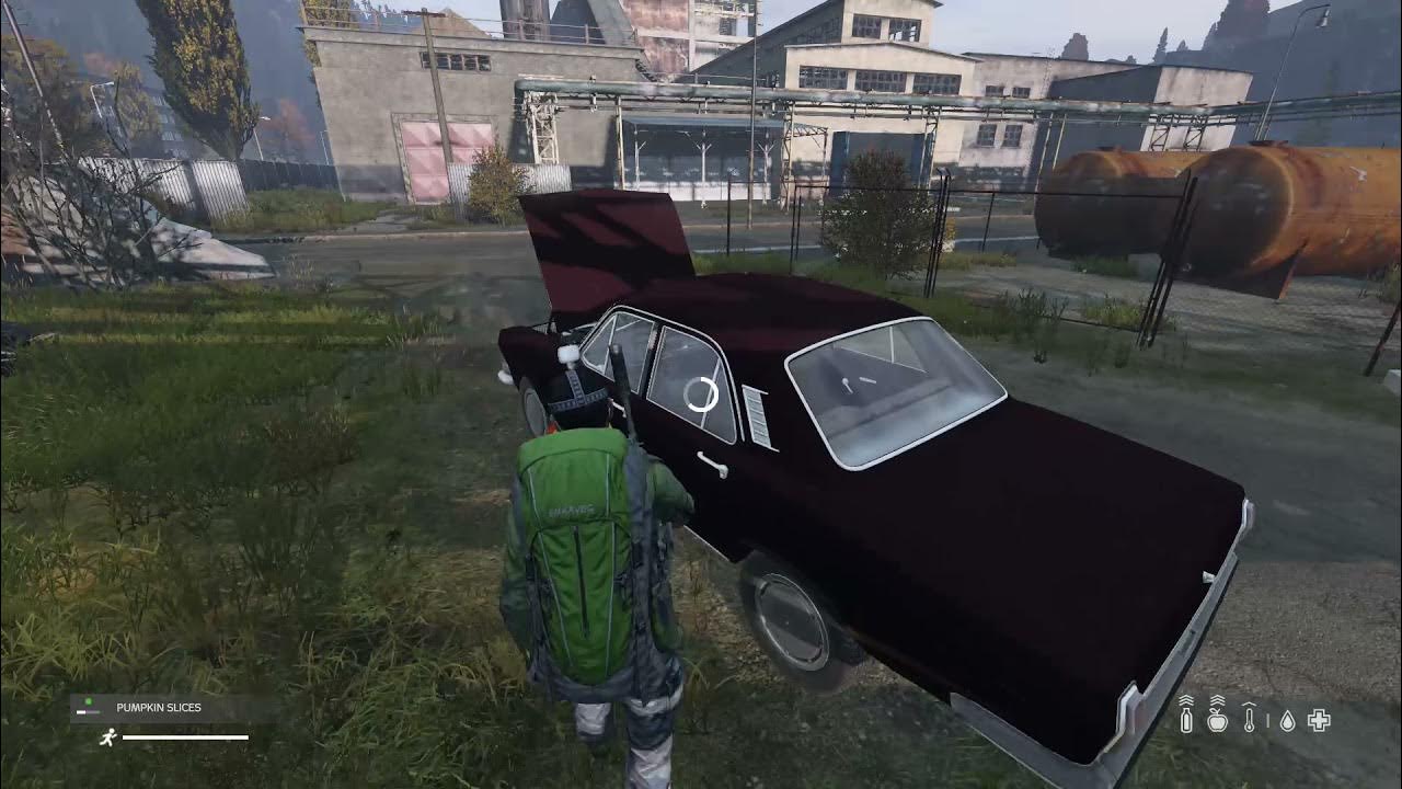 2021 DayZ Olga found and radiator fill YouTube