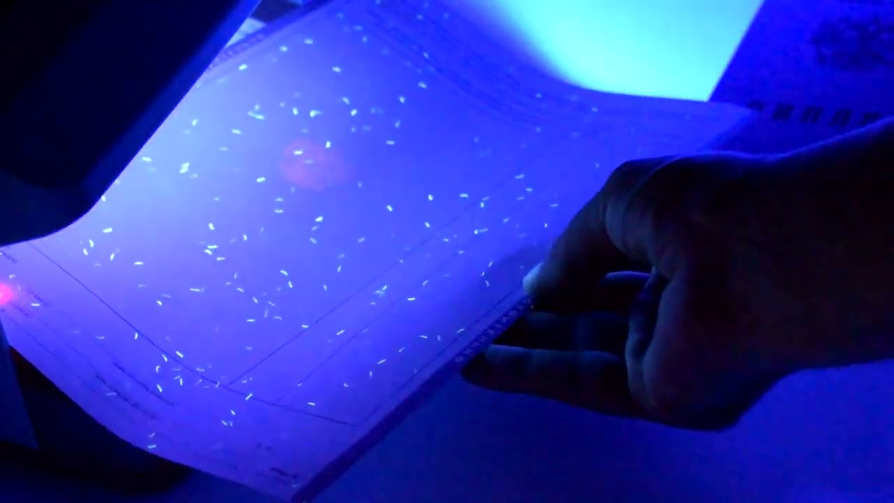 Диплом колледжа 2013