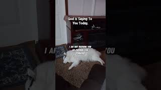 God Is Saying To You With Shylo