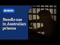 Needles being used up to 86 times a day in Australian prisons | ABC NEWS