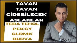 TAVAN TAVAN GİDEBİLECEK O ASLANLAR.. TERA TEHOL PEKGY GLRMK BURVA...